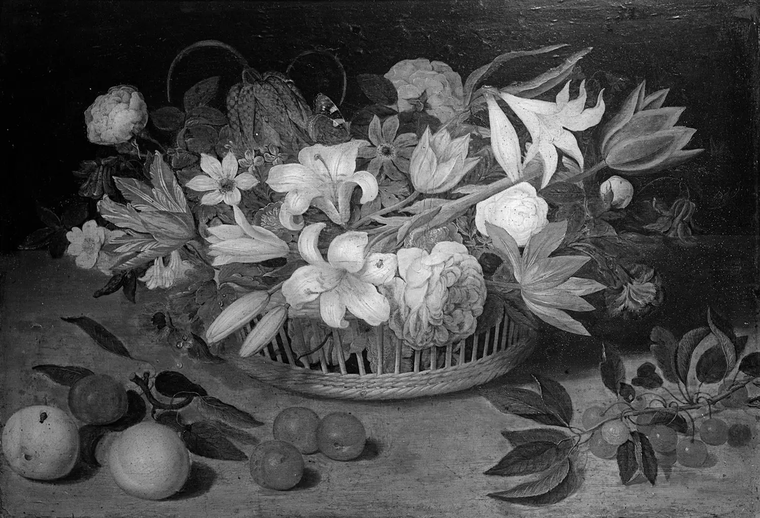 Imagen de ficha: Bodegó