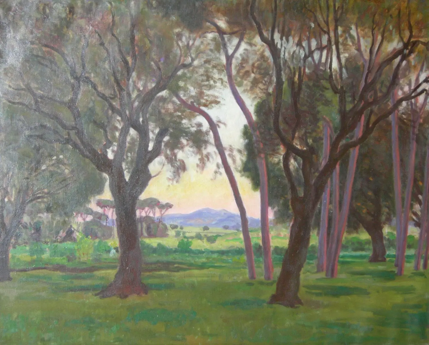 Bosc de Ca l'Altimira